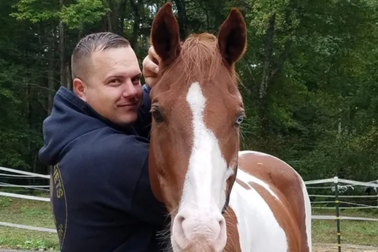 Therapy Horse