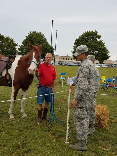 Horse with Soldiers